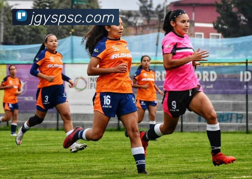 九游j9官方网站品牌故事