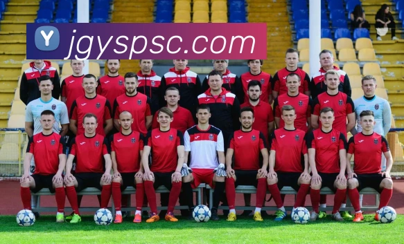 九游j9官方网站服务体系